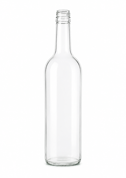 Botella de Agua de Vidrio de Montaña de 500ml